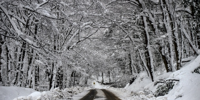 Karlar altındaki Belgrad Ormanı'nda masalsı görüntüler