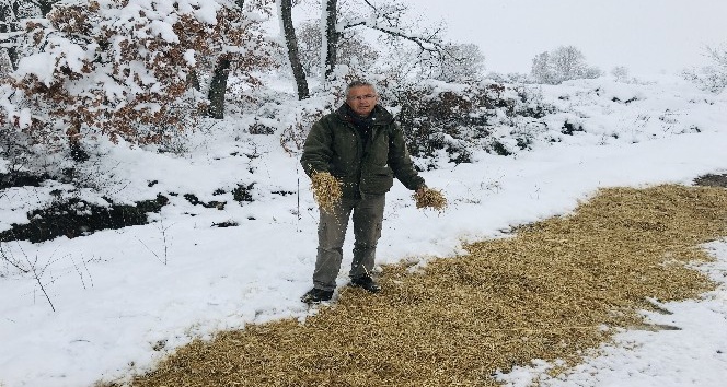 Çanakkale’de, yaban hayvanları için doğaya yem bırakıldı