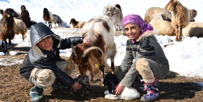 Kendileri küçük sorumlulukları büyük