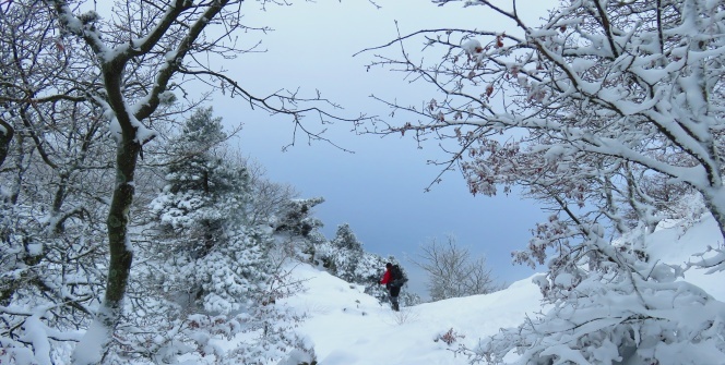 Sibirya değil Kazdağları