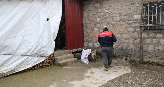 Diyarbakır’da dev uyuşturucu operasyonu: 1 milyon 258 bin kök kenevir ve 1 ton 734 kilo uyuşturucu ele geçirildi