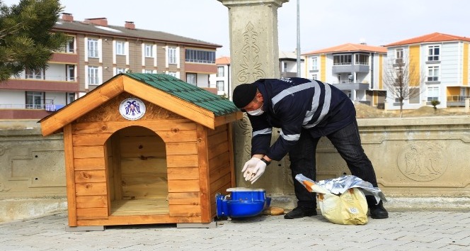 Erzincan’da sokak hayvanları için üretilen ahşap barınaklara mama bırakıldı