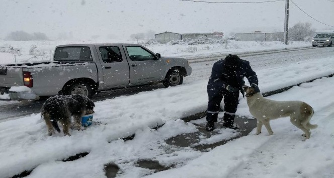 Oral: "Can dostlarımız için de görev başındayız"