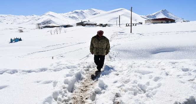 Yıllardır karlı dağlarda hayvanlarıyla iç içe yaşıyor