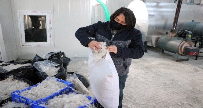 Yozgat’ta üretilen kaz tüyü Avrupa’ya ihraç ediliyor
