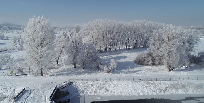 Sivas’ta görsel şölen, kırağı kartpostallık görüntüler oluşturdu