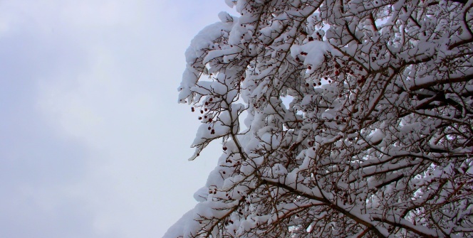 Erzurum’da kartpostallık eşsiz manzaralar