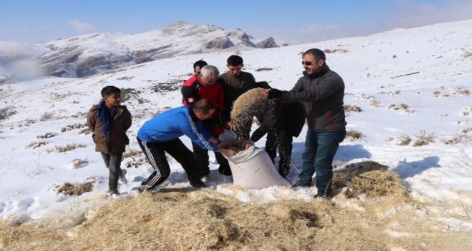 Erzincan’da yılkı atları ve yaban hayvanları için doğaya yem bırakıldı