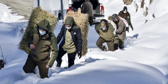 Gümüşhane'de yaban hayvanları aç bırakılmıyor