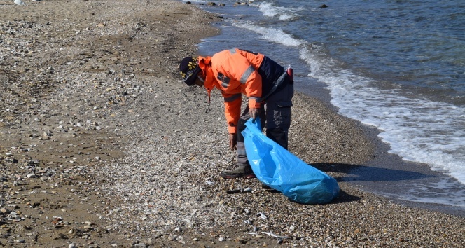 İzmir’de ölü balıklar kıyıya vurdu