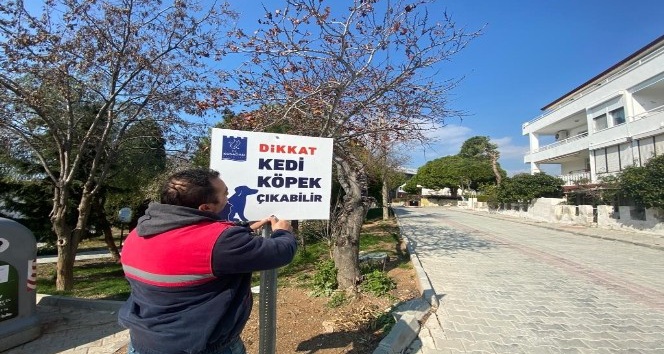 Hayvan dostu Kuşadası Belediyesi’nden örnek bir uygulama daha