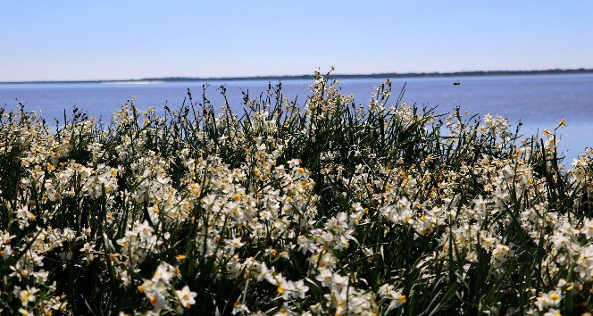 Adana’nın gizli cenneti: "Nergis Adası"