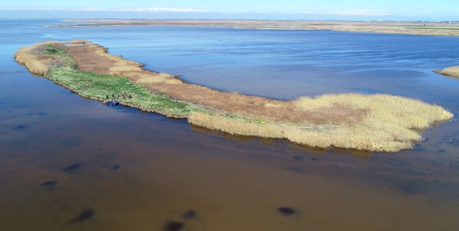 Adana’nın gizli cenneti: "Nergis Adası"