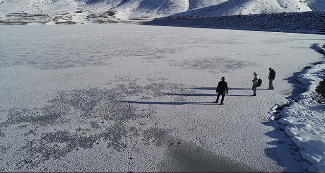 Sibirya soğuklarının etkisiyle dondu, kırağı ile gözden kayboldu