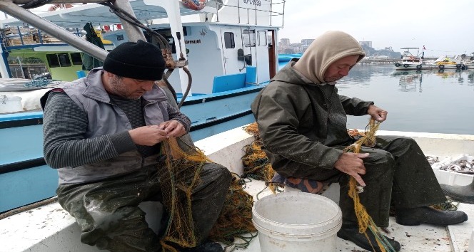 Zonguldaklı balıkçılar 100 kilogram mezgitle limana döndü