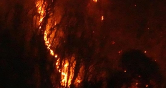 Japonya’da 3 gündür süren yangında, 50 hektarlık alan kül oldu