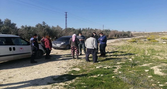 Mersin’de kırma Kangal cinsi 3 köpek ölü bulundu