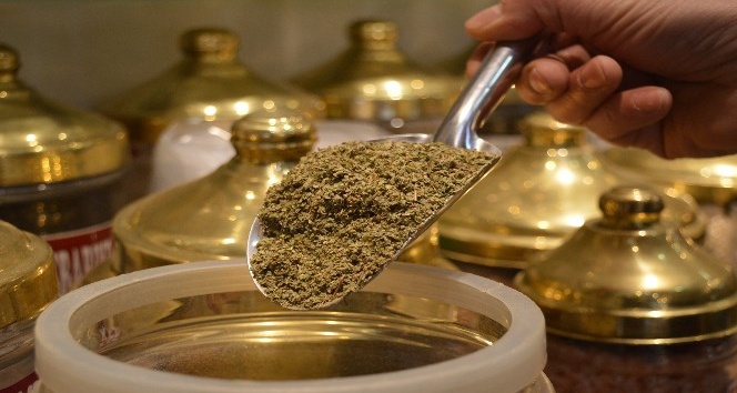 Vatandaşların yeni gözdesi ’mercanköşk’ oldu