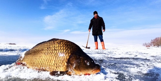 Donan Nazik Gölü’nde Eskimo usulü balık avı