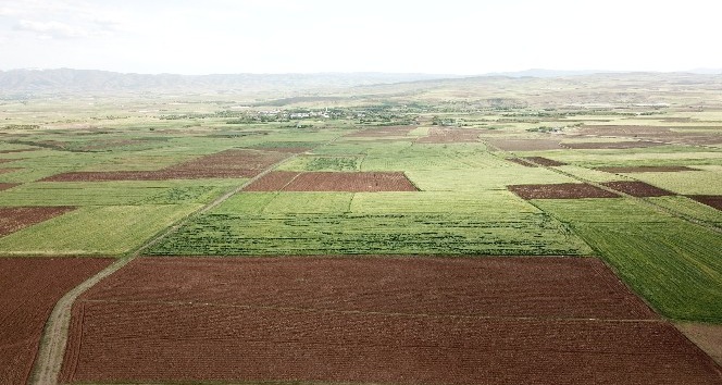 Elazığ’da arazi toplulaştırma çalışmaları sürüyor