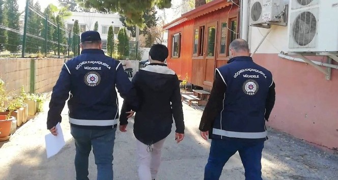 Osmaniye’de Afgan mülteci yakalandı