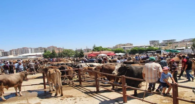 Nevşehir’de Hayvan Pazarı 1 Mart’ta yeniden açılıyor