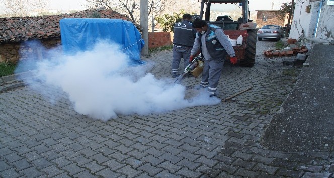 Geyikli’de yaza hazırlık çalışmaları