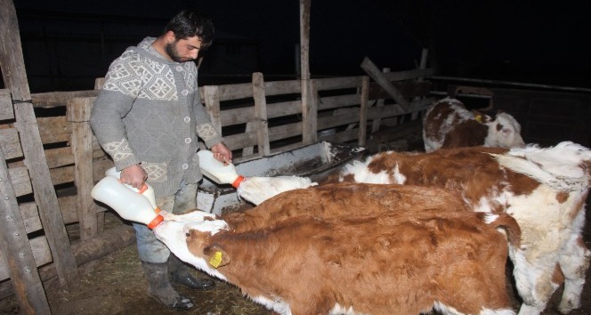 Üniversiteyi bitirip çiftçilik yaparak kendi işinin patronu oldu