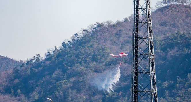 Japonya&#039;daki orman yangını kontrol altına alındı