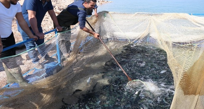 Denize kıyısı olamayan kentten Türkiye’ye yıllık 20 bin ton alabalık