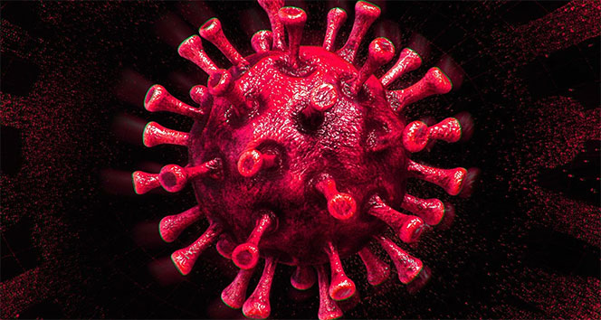 Türkiye&#039;de son 24 saatte 11.520 koronavirüs vakası tespit edildi