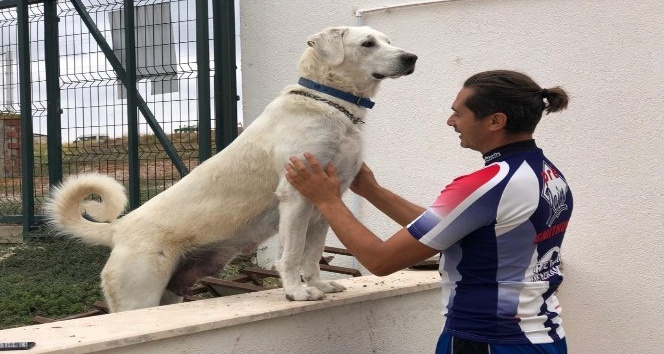 Şampiyon Akbaşlar yetiştiriyor