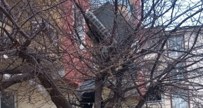 Balkondan aşağı attığı eski koltuk ağaçta takılı kalınca belediye ekiplerinden yardım istedi