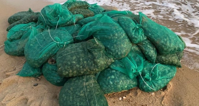Yunanistan’a kaçak götürülecekti Edirne’de ele geçirildi: Tam 1 ton