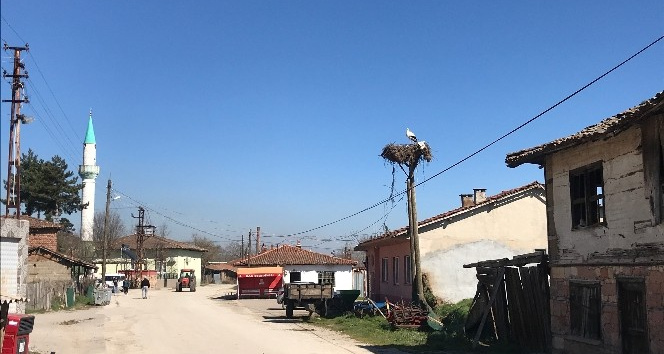 Çanakkale’ye yılın ilk leyleği geldi