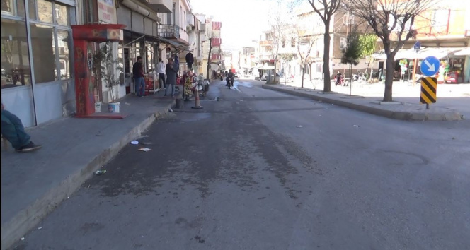 Gaziantep&#039;te pitbull kavgası: 1 yaralı