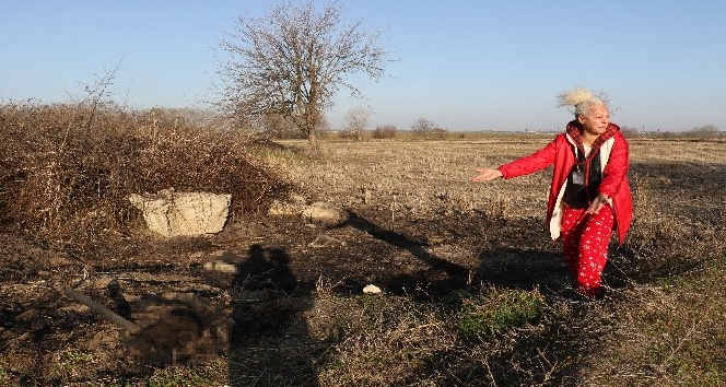 Edirne’de kan donduran vahşet