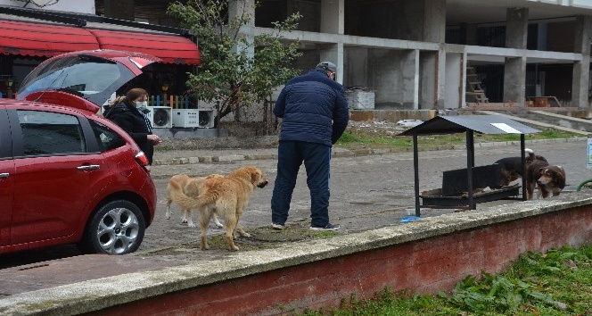Ordulu çift sokak hayvanlarına duyarsız kalmadı