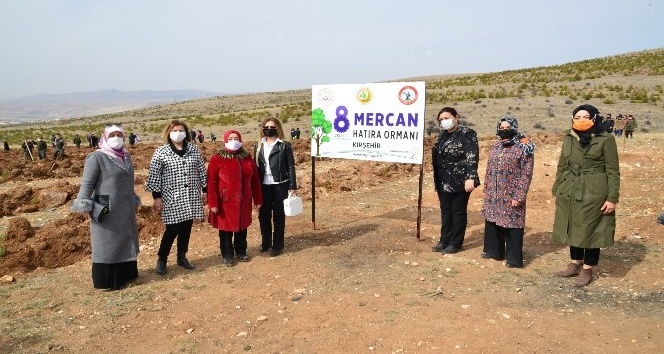 Kırşehir’de, Mercan Ormanı oluşturuldu