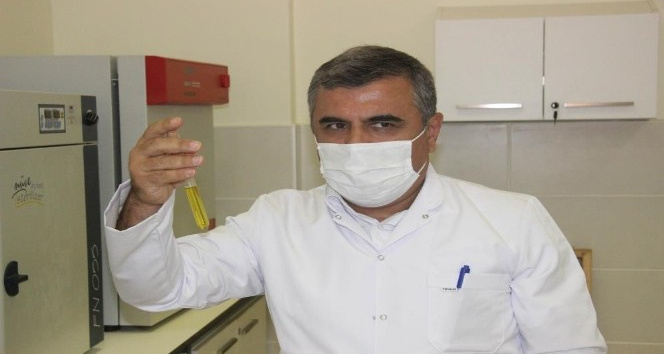 Kilis Zeytinyağı ödüle doymuyor