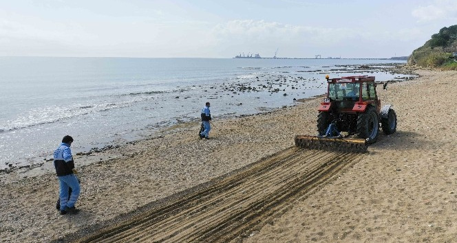 Yumurtalık, Gölovası ve Zeytinbeli sahilleri temizleniyor