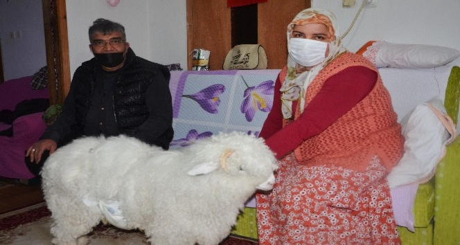 23 yıldır evlat hasretlerini Boncuk’la giderdiler