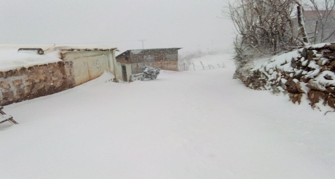 Batman’da kar yağışı nedeniyle kapanan köy yolları ulaşıma açılıyor