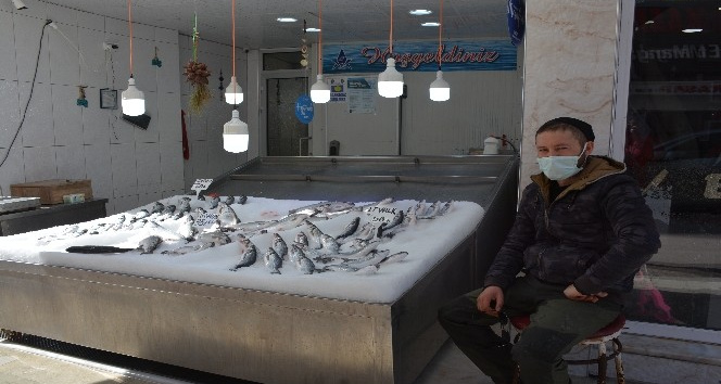 Sinop’ta tezgahlar havuz balıklarına kaldı