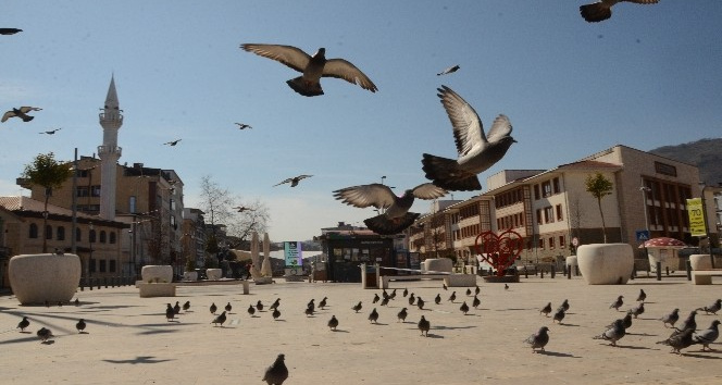 Ordu’da korona virüs sessizliği
