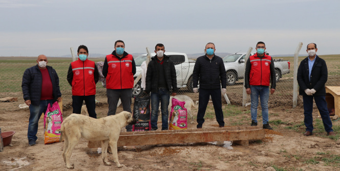 Köpekleriyle köyünden kovulan engelli gence Vali Aydoğdu sahip çıktı