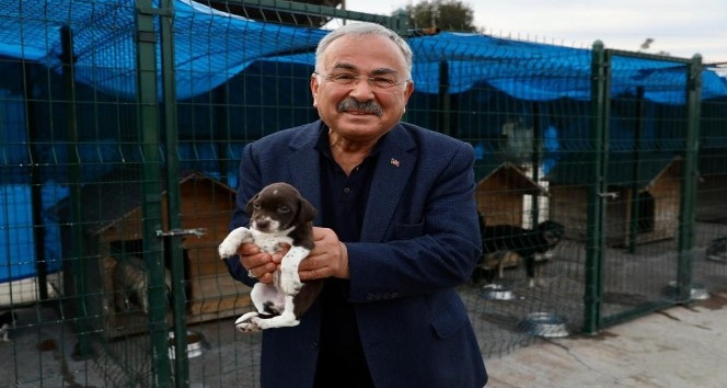 Ordu’da can dostlar için modern hastane