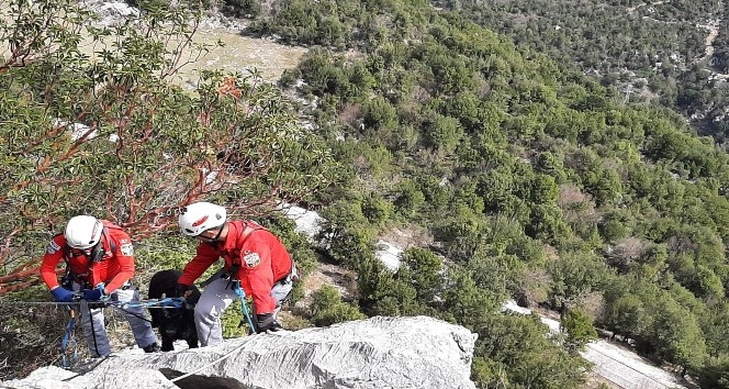 AKUT’tan 5 saatlik keçi kurtarma operasyonu