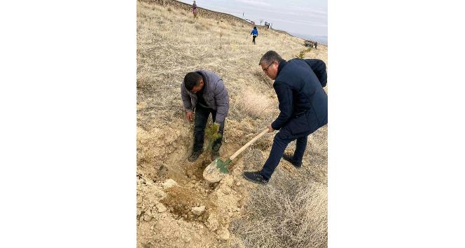 Saraycık Köyü’nde ağaç dikim etkinliği