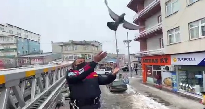 Ağaçta asılı kalan güvercini itfaiyeciler kurtardı